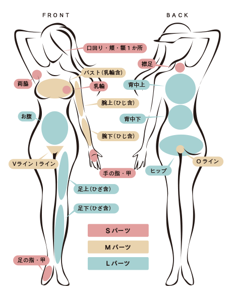 HAIR REMOVAL －脱毛サービス－